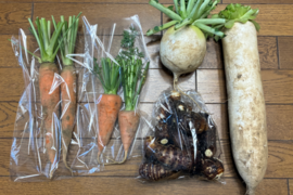 【訳あり】煮物に最適！　固定種の野菜セット11月 (霜月)