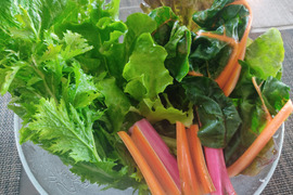 ✨朝どれサラダ野菜セット（スイスチャード約200g+ミックスレタス約300g+わさびリーフ約300g）農薬・化成肥料不使用✨