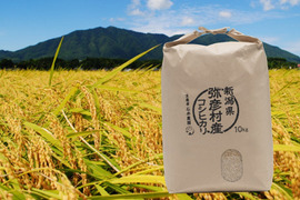令和8年産新米》新潟県弥彦村産 コシヒカリ玄米 20kg：新潟県産のお米