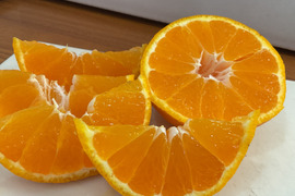 超〜お買い得❗️ちょっと訳ありだけどコク旨不知火　M〜2Lサイズ 24玉〜28玉（約7kg）