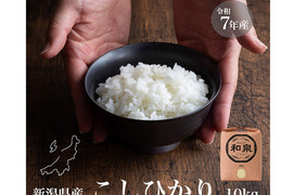 新潟県産コシヒカリ,和泉,10kg,令和7年新米,【受注後精米・農家直売】