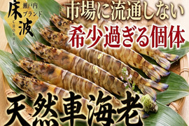 🦐幻の天然個体🦐養殖では辿り着けない希少水揚げ『天然国産車エビ』長州床波ブランド【9月上旬予約】