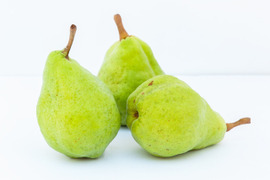 信州産　ル・レクチェ　ルレクチェ　約5kg（10～20玉）　洋ナシ　西洋なし