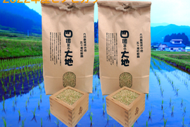 限定セール！四億年の大地米ヒノヒカリ　玄米5㎏×2個　2022年度