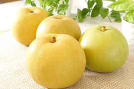 美味しい梨！ わくわく複数品種詰め合わせ 約5kg