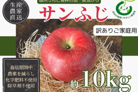 生産農家直送 りんご サンふじ 訳あり ご家庭用 10kg 長野県産 信州りんご発祥の地 長沼りんご 化学肥料不使用 除草剤不使用 人にやさしく環境にもやさしい農産物