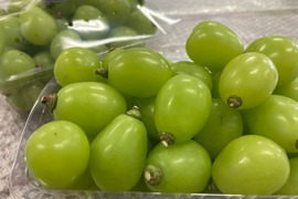 【お試しに！】シャインマスカット粒カットばらパック　フルーツ王国・岡山県産