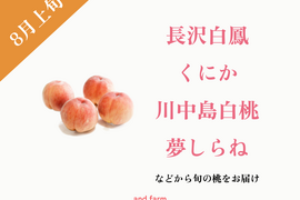 【８月上旬発送】桃好き必見！桃のリレーが楽しめる！季節の【桃】おうち用（もも）お試しセット 約4kg 約10~14玉