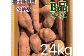【絶品】種子島産安納芋 B品 中〜大サイズ 24kg(箱別)