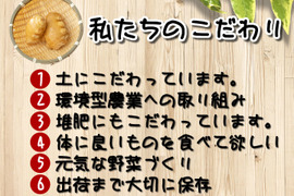 シャキシャキとした香りのいい生姜 新しょうが 新生姜 5kg（訳あり商品）