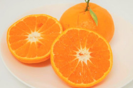 西南のひかり　3Ｋ　希少品種　特別栽培　熊本不知火産