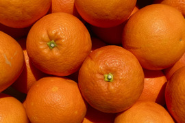 【訳あり】ブラッドオレンジ 2kg