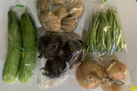 【自然栽培】4~5品目のお野菜セット Sサイズ