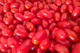 【限定販売】食べたらハマる!?朝採り🍅フルーツトマト<1キロ>