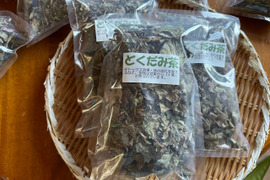 奥出雲産自然栽培どくだみ茶(20g)