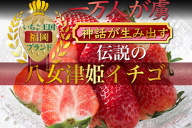 【糖度15度オーバー】一万人が虜になった究極の匠の叡智『八女津姫ブランドいちご』超大容量パッケージ約1kg【冬ギフト】【1月下旬予約】