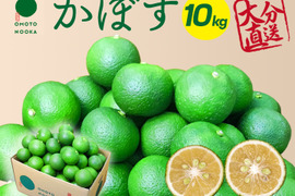 生でギュッと！残暑にはスッキリかぼす（１０kg）