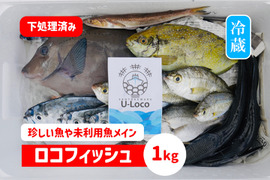 【珍しい魚や未利用魚メイン】鮮魚ボックス1kg※発泡スチロール箱（期間限定）