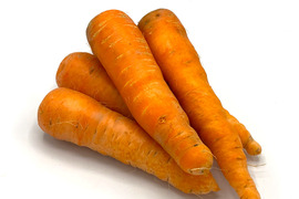 自然栽培で育った濃厚な味わいで昔ながらの人参らしい香りが特徴の「新黒田五寸人参」2㎏セット