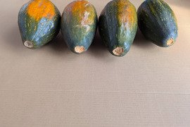 【サラダカボチャ】訳あり　有機JAS認証取得　万次郎生まるごと　４個入（約6.7kg）