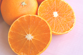 産地直送・わけあり紅華(5kg)【愛媛限定栽培】ご自宅用 愛媛県産みかん