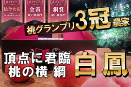 🎊全国桃グランプリ3冠小野桃園ブランド🎊桃の横綱の異名を持つ白鳳ジューシー上品な一面も覗かせる一流レストラン御用達1kgお試し特価ももキャンペーン【朝どれ】グランプリ受賞の実力糖度🍑