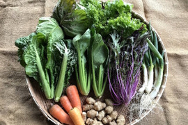 自然農法・有機栽培野菜セット(7〜10品目)