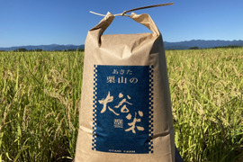 【定期便】【令和7年度 新米】精米 4.5kg あきたこまち 「大谷米」もっちり甘い 単一農家米100%！