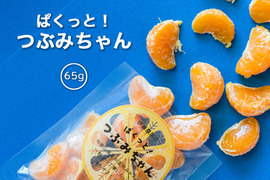 冷凍ミカン（有田みかん） ぱくっとつぶみちゃん  65g×24袋　820-20p