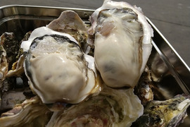 あっさりサッパリ　北海道のキレイな海で育った真牡蠣　中サイズ　30個【殻付き、生食可、ナイフ付】
