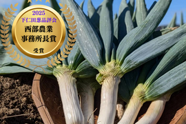 <2箱セット>《L~3Lミックス,10~14本》下仁田町産 下仁田ねぎ 極上の甘みととろける食感！（贈答用/ご家庭用）【冬ギフト】