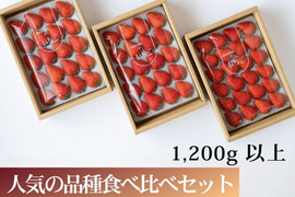 【終了間近】【2種食べ比べ】1200g以上食べ比べセット！人気品種「紅ほっぺ」800g+静岡限定品種「きらぴ香」400g or 希少品種「おいCベリー」400gのどちらかのランダムパック!