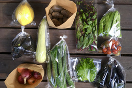 那須産・旬の野菜 Mセット(7-10品目入り)【栽培期間中農薬不使用】