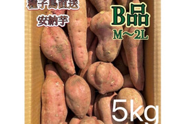 【絶品】種子島産安納芋 B品 中〜大サイズ 5kg(箱別)
