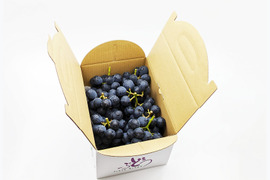 味は一緒お買い得、小粒混じりのナガノパープル4kg(10×20房）規格外※信州の環境にやさしい農産物50％節減（長野県認証）2023