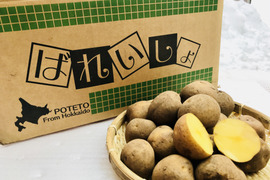 【驚きの甘さ】越冬とうや 10kg 訳あり 2025年収穫！ 糖度UP