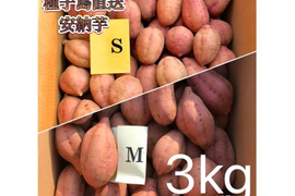 【絶品】種子島産 安納芋 S&M 混合3kg(箱別)