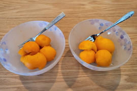 袋掛け栽培！愛知弥富びわ『田中』12～18ヶ入り×2P　専用化粧箱入り