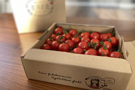【適量BOX】愛情たっぷりbaby tomato 600g×2箱
　‐★★★‐