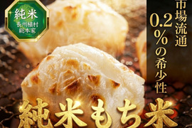 🔥わずか15個限定🔥市場にほとんど出回らない極上餅米を米蔵総本家がついに解禁！百万石ブランド餅米『純米もち米』お試し約1㎏＋1kg増量キャンペーン【新米】