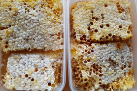 幻！日本蜜蜂、日本ミツバチの巣蜜 ５００g