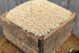 《令和７年収穫》玄米２KG　栽培期間中農薬・化学肥料不使用 自然農業での栽培 五島列島産