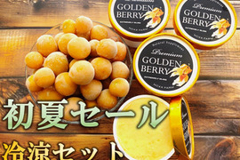 🍃初夏セール🍃冷たくて甘い夏のごほうび✨果実の美味しさを味わえるゴールデンベリー冷凍セット（プレミアムアイス4個／そのまま食べられるフローズンゴールデンベリー300g入り）