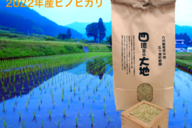 限定セール！四億年の大地米ヒノヒカリ　玄米5㎏　2022年度