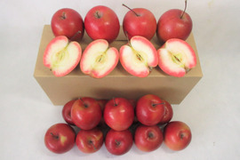 【超希少品種】果肉まで赤～いりんご『栄紅』超かわいいサイズちょっとB品18個(約2kg)