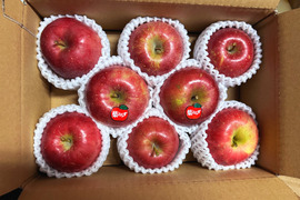 🍎弘前ふじ🍎ひとり占めサイズおうちりんご◆もぎたてジューシー◆葉とらずりんご🍎家庭用2キロ