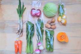 『子育て農家の野菜セット』　Sサイズ　7～8品目