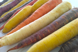 3kg🥕元気な彩り！食卓が盛り上がる！カラフルにんじん《農薬・化学肥料不使用》