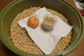 【新・乾燥豆】大豆（借金なし大豆）無選別特価　約100g　１５０円