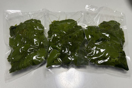 天然ワカメのメカブ　茹で真空冷凍　300グラムを3パック
